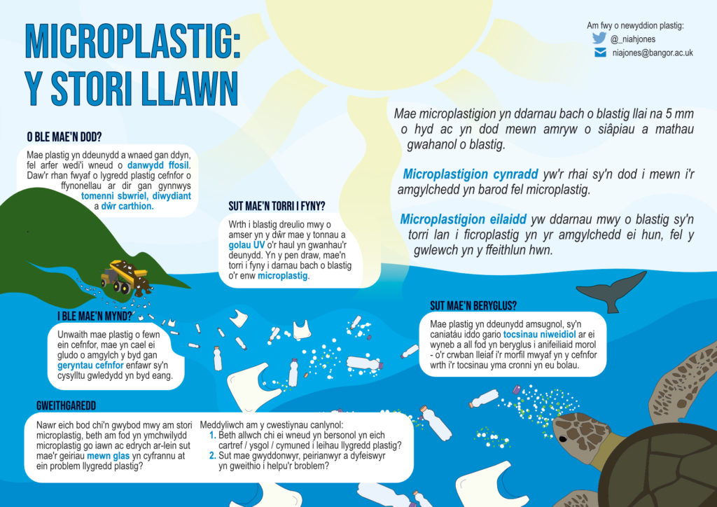 Nia Jones / Envision / infographic /  Cymraeg